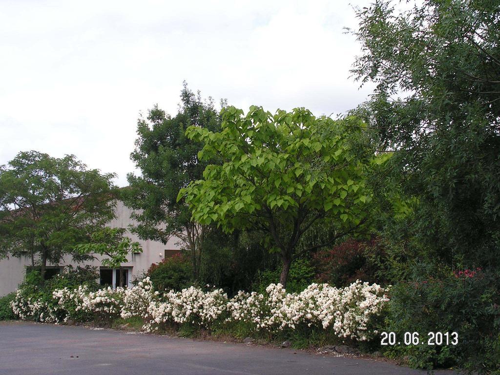Le Bois Joli Hotel Massais Luaran gambar